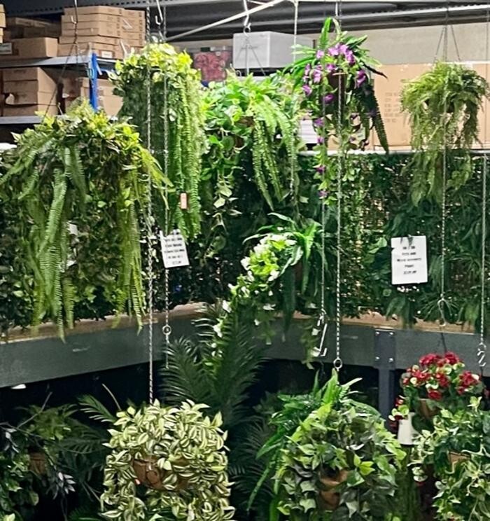 Images Artificial Plant Importers