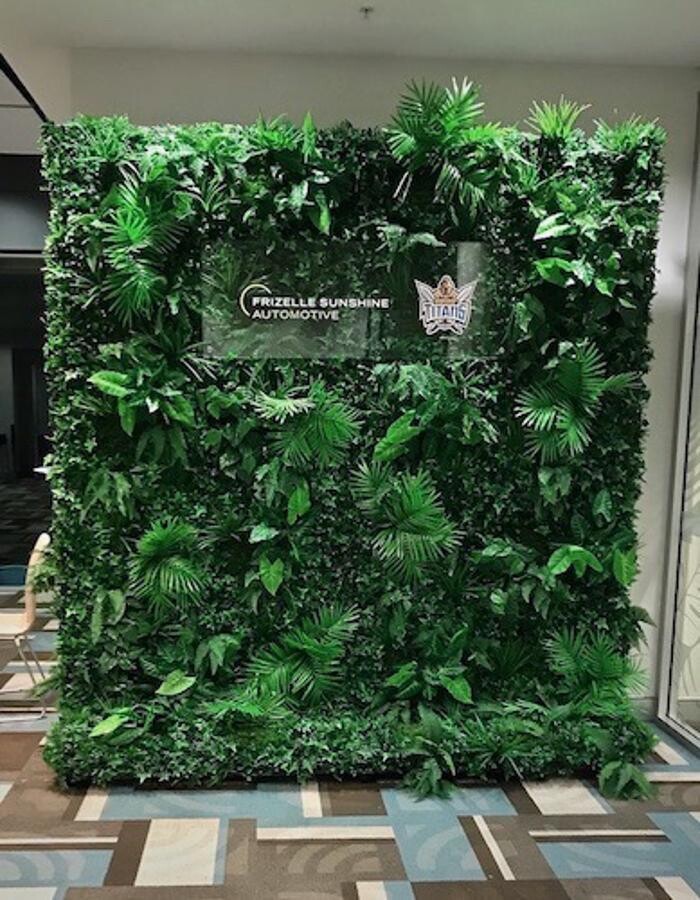 Images Artificial Plant Importers