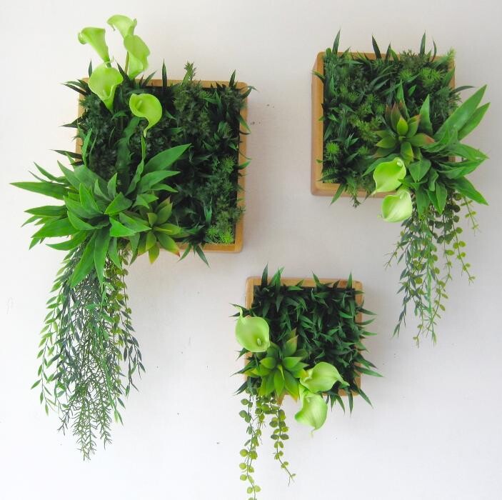 Images Artificial Plant Importers