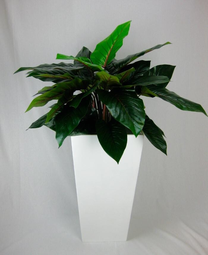 Images Artificial Plant Importers