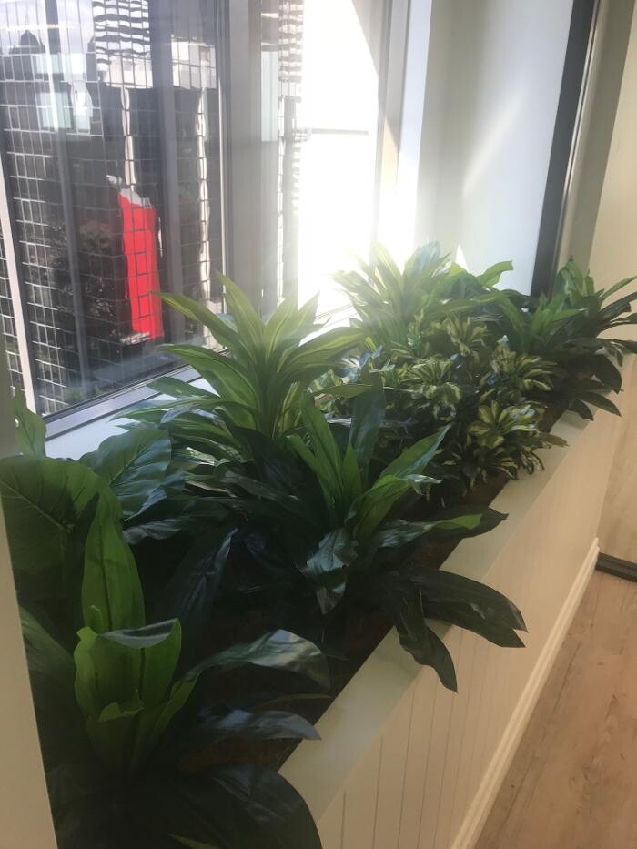 Images Artificial Plant Importers