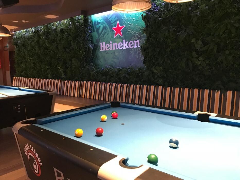 Images Artificial Plant Importers