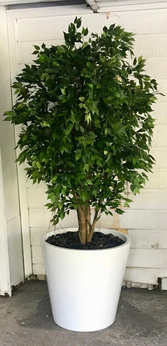 Images Artificial Plant Importers