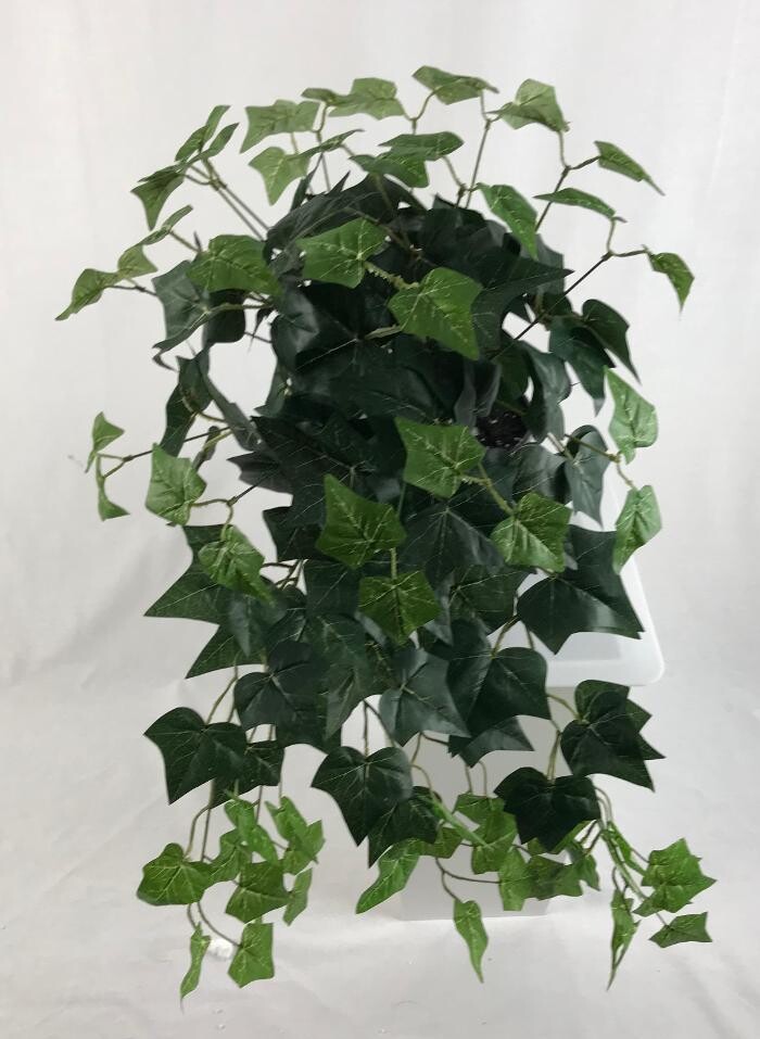 Images Artificial Plant Importers