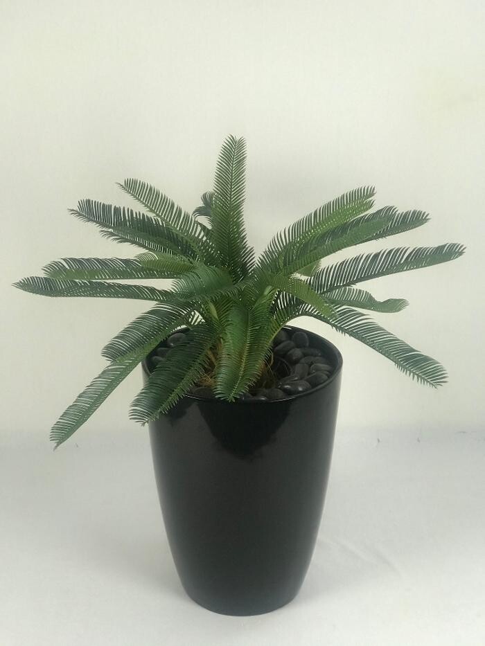 Images Artificial Plant Importers