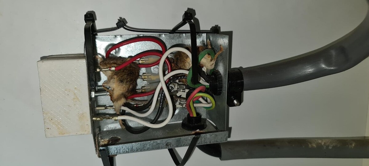 Images Mastin Electrical