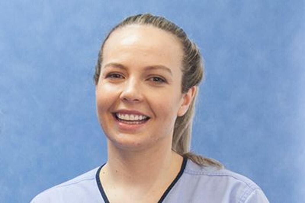 Images Terrigal Endodontics