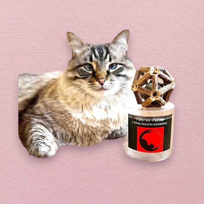 Images Bark n Meow