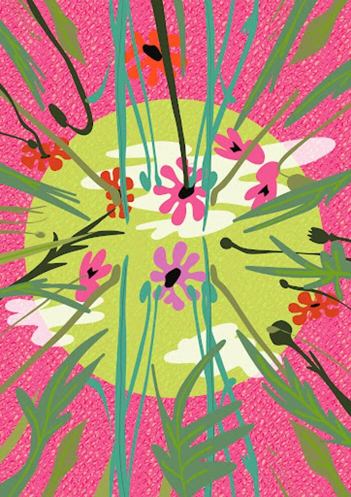 Images AWE Illustrations