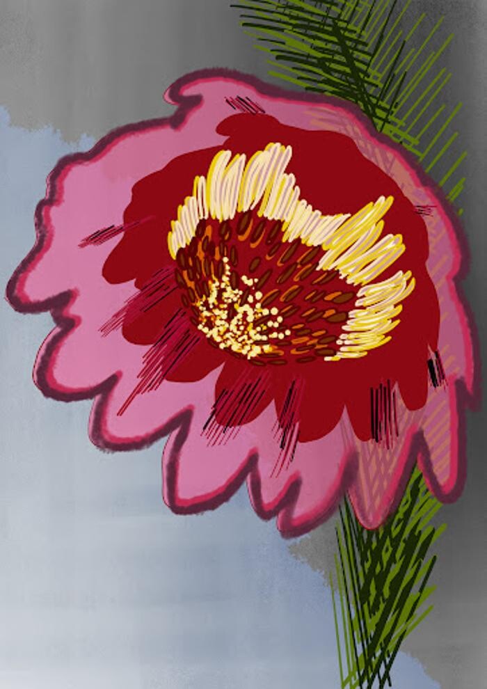 Images AWE Illustrations