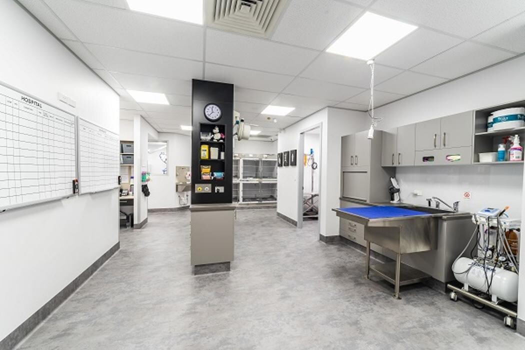 Images Reedy Creek Veterinary Surgery