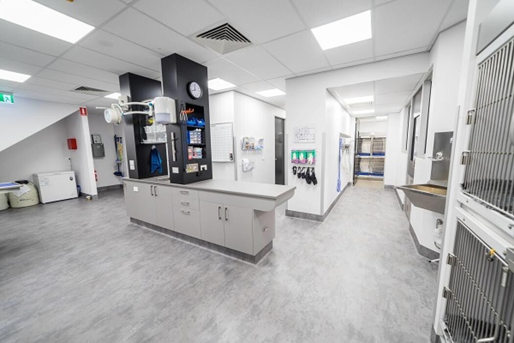 Images Reedy Creek Veterinary Surgery