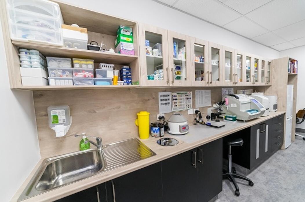 Images Reedy Creek Veterinary Surgery