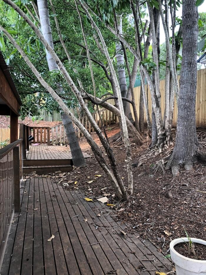 Images Happy Hearts Child Care and Kindergarten Petrie