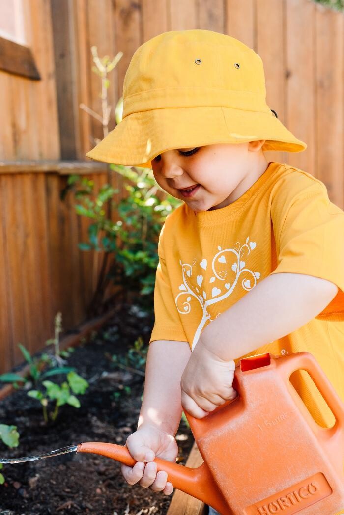 Images Happy Hearts Child Care and Kindergarten Petrie