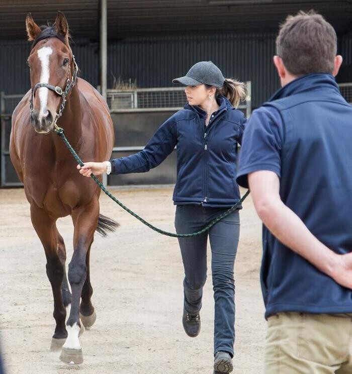 Images Romsey Veterinary Surgery
