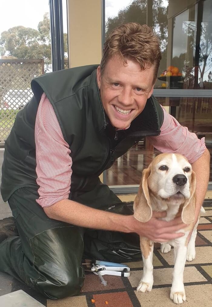 Images Romsey Veterinary Surgery