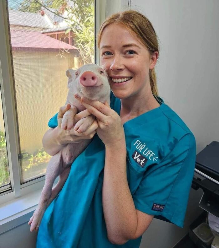 Images Romsey Veterinary Surgery