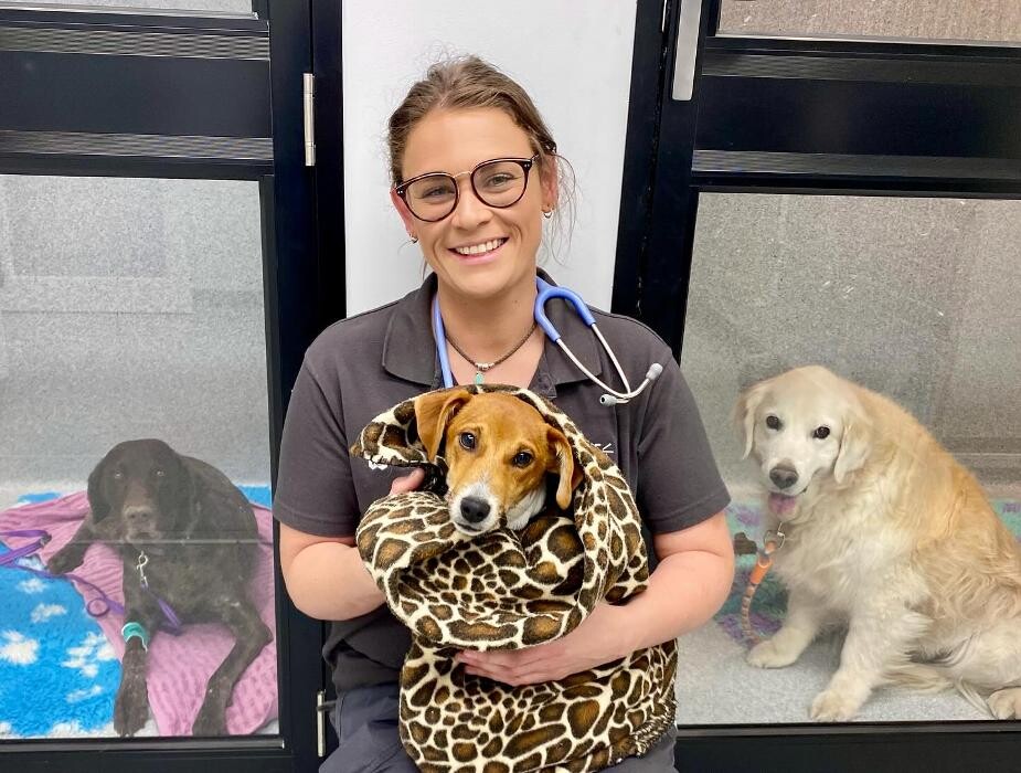 Images Fur Life Vet Yarrawonga