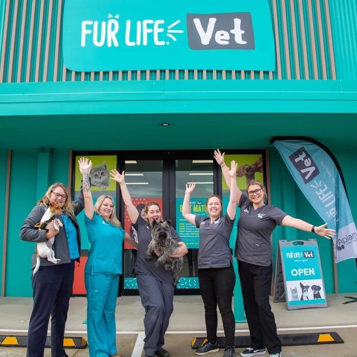 Images Fur Life Vet Yarrawonga
