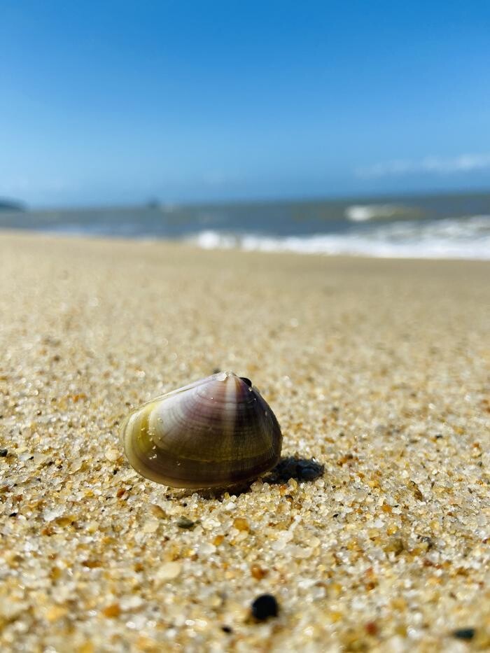 Images East Coast Car Rentals - Cairns Airport