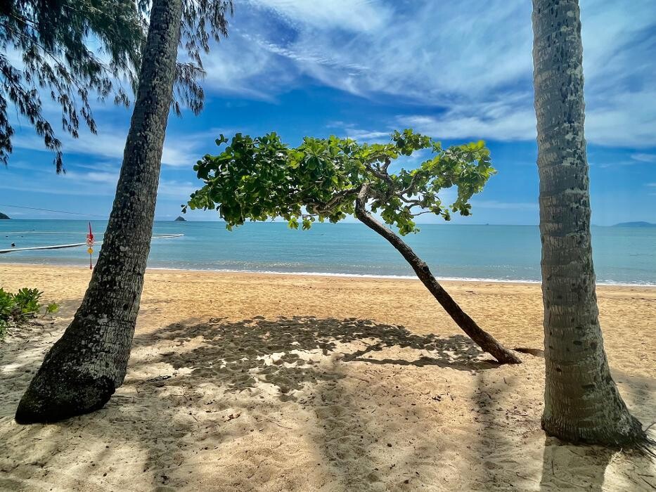 Images East Coast Car Rentals - Cairns Airport