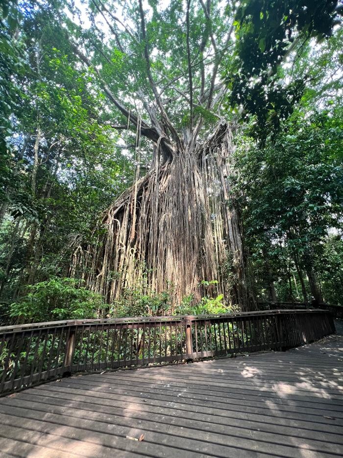 Images East Coast Car Rentals - Cairns Airport