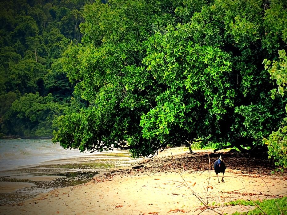Images East Coast Car Rentals - Cairns Airport
