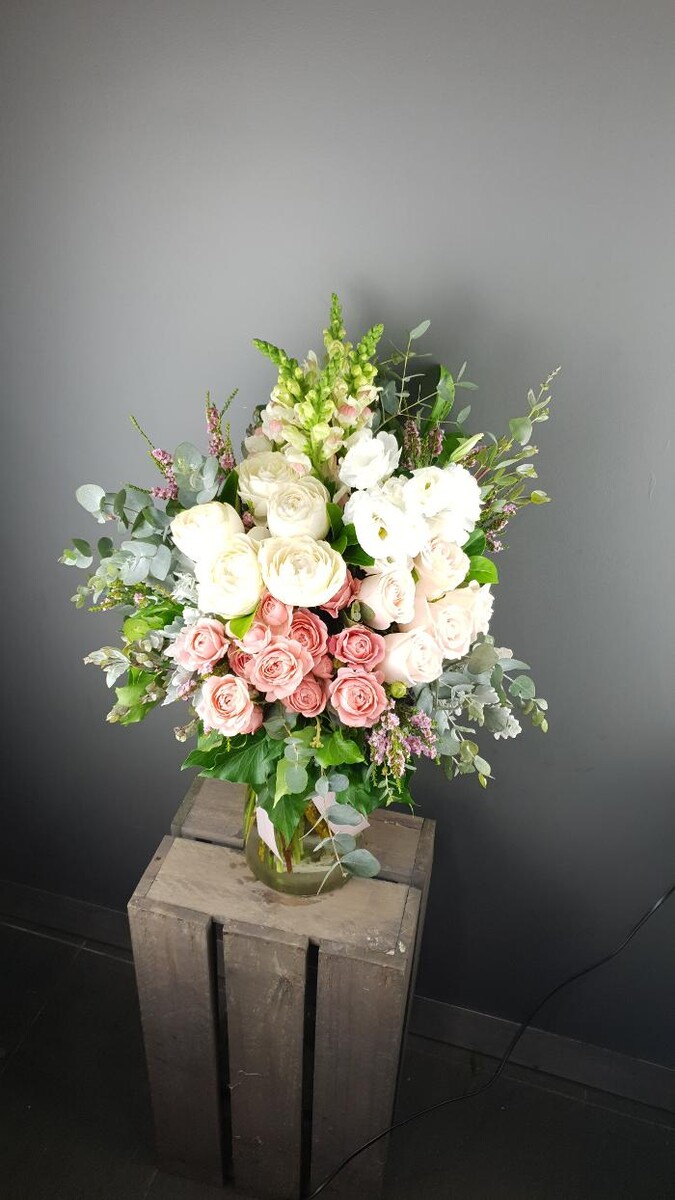 Images Seed Blossom Pod