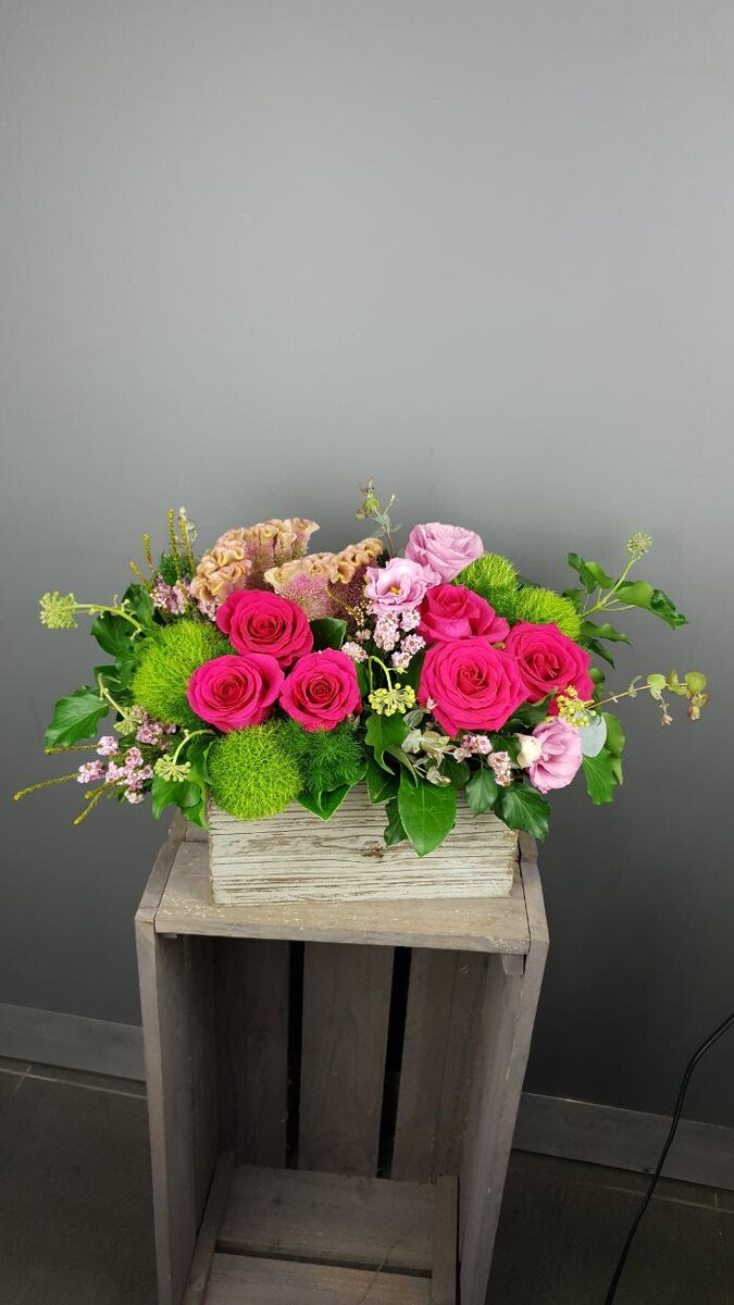 Images Seed Blossom Pod