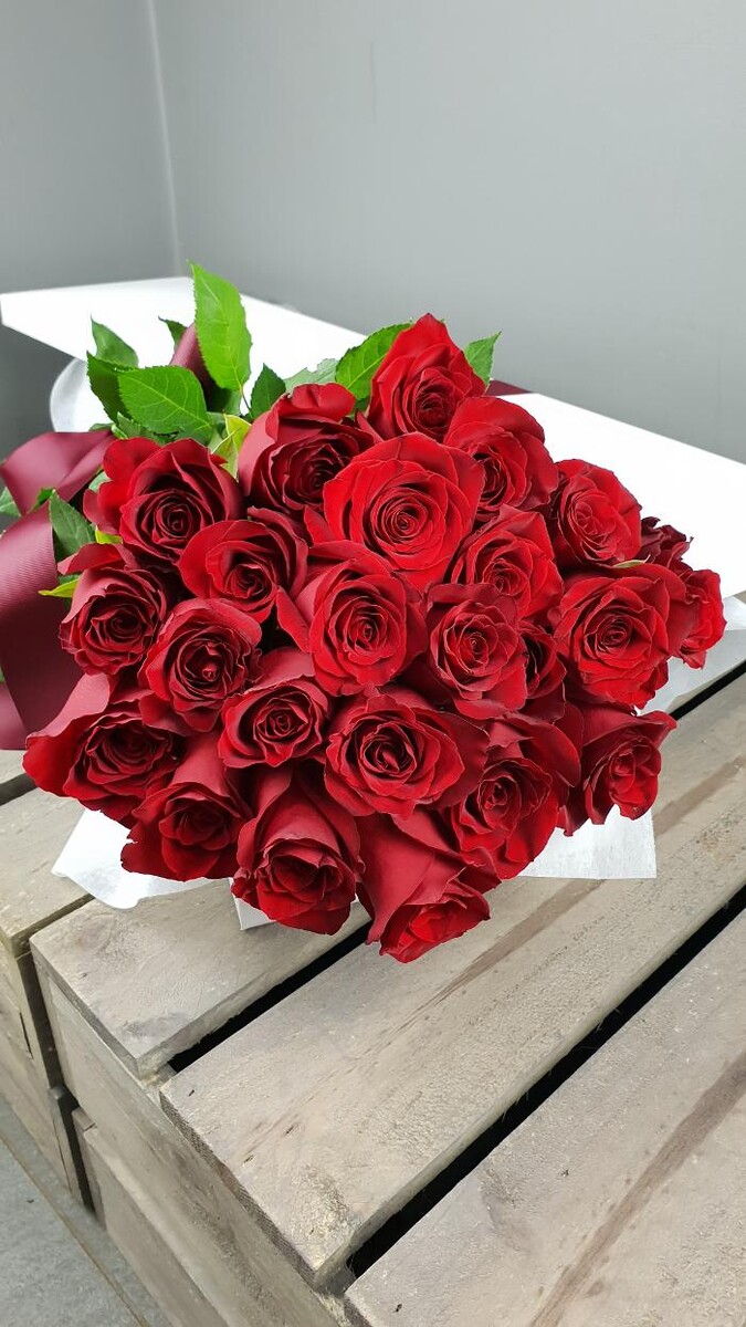 Images Seed Blossom Pod