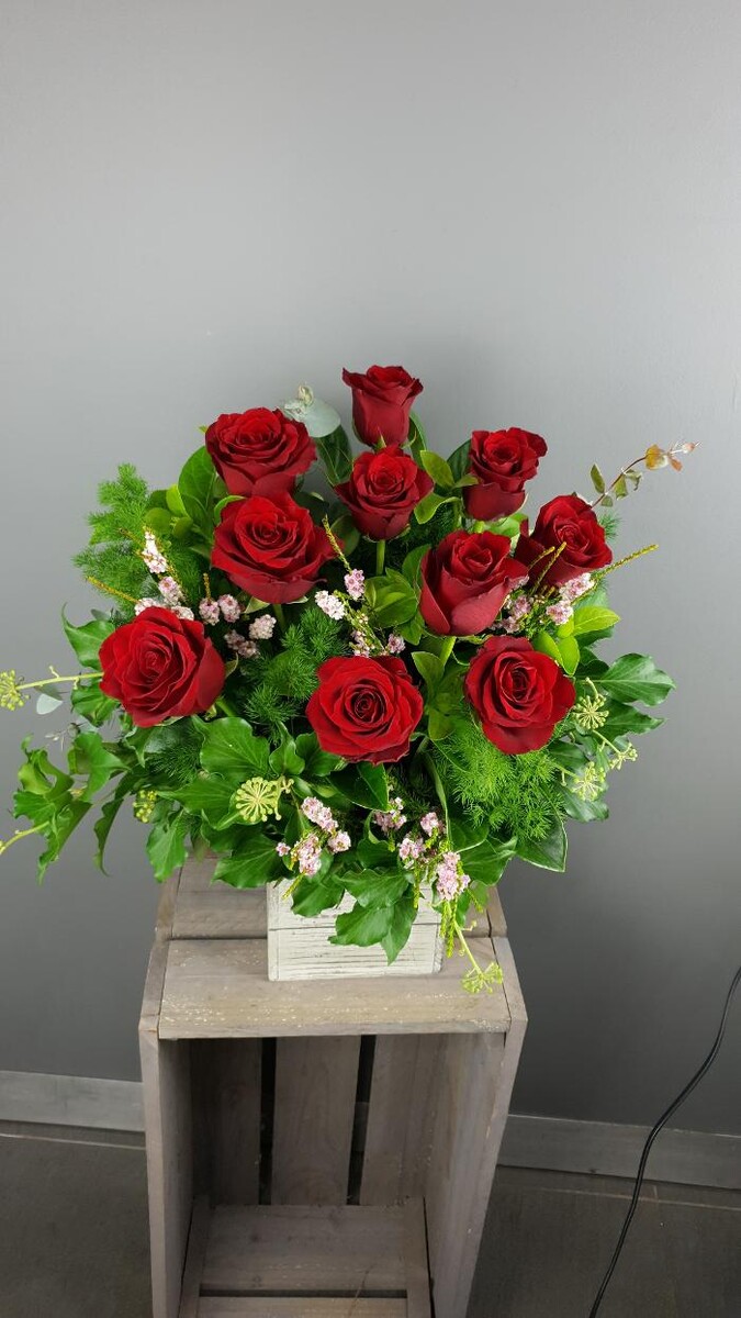 Images Seed Blossom Pod