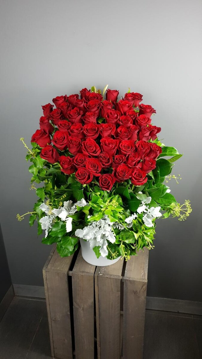 Images Seed Blossom Pod