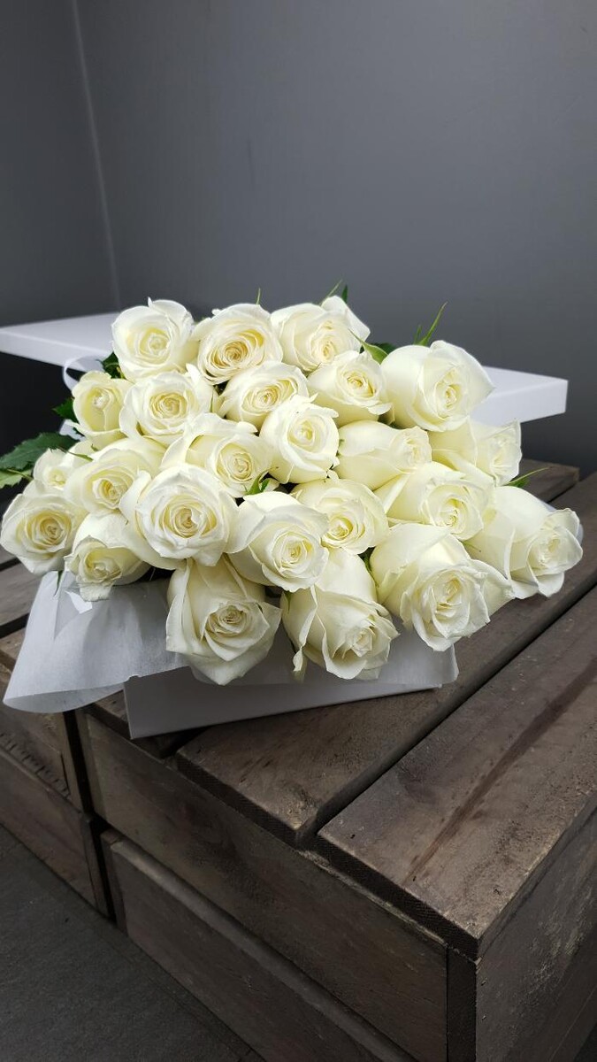 Images Seed Blossom Pod