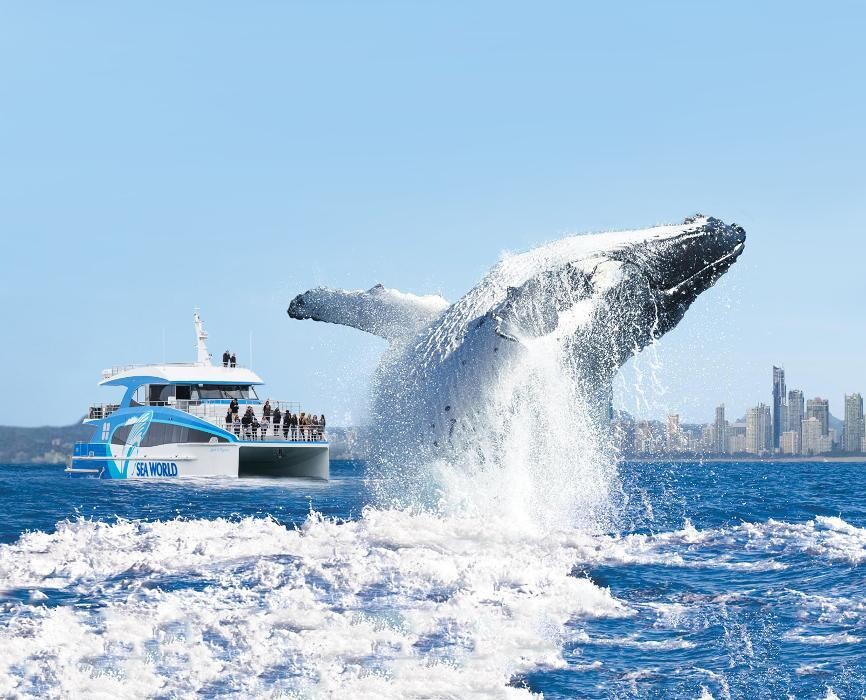 Images Sea World Cruises Main Beach (Buffet Dinner Cruise)