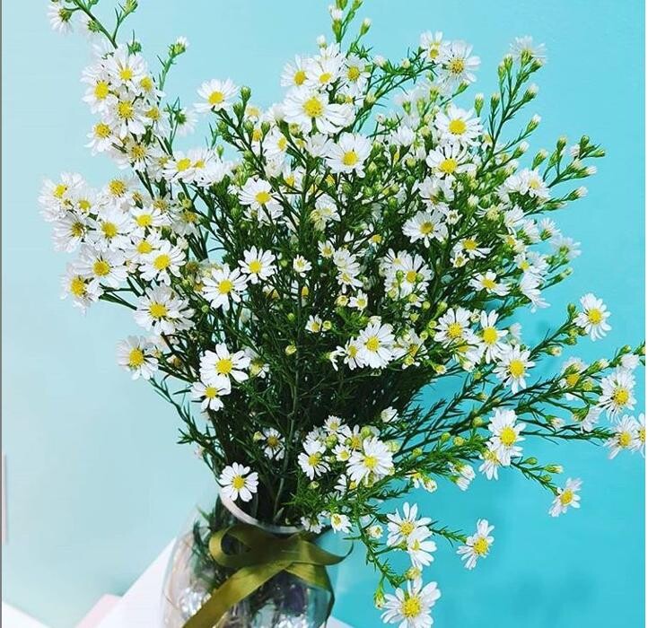 Images National Dental Care Lismore