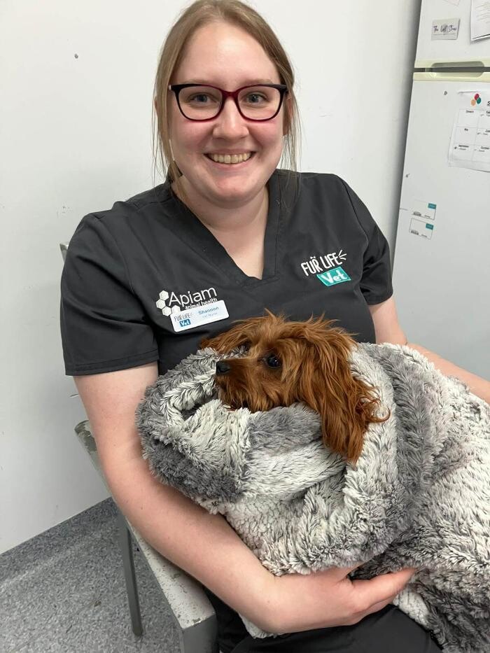 Images Fur Life Vet Shepparton