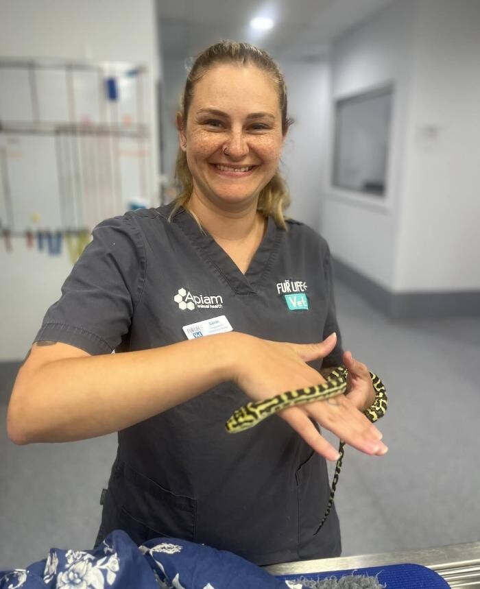 Images Fur Life Vet Shepparton