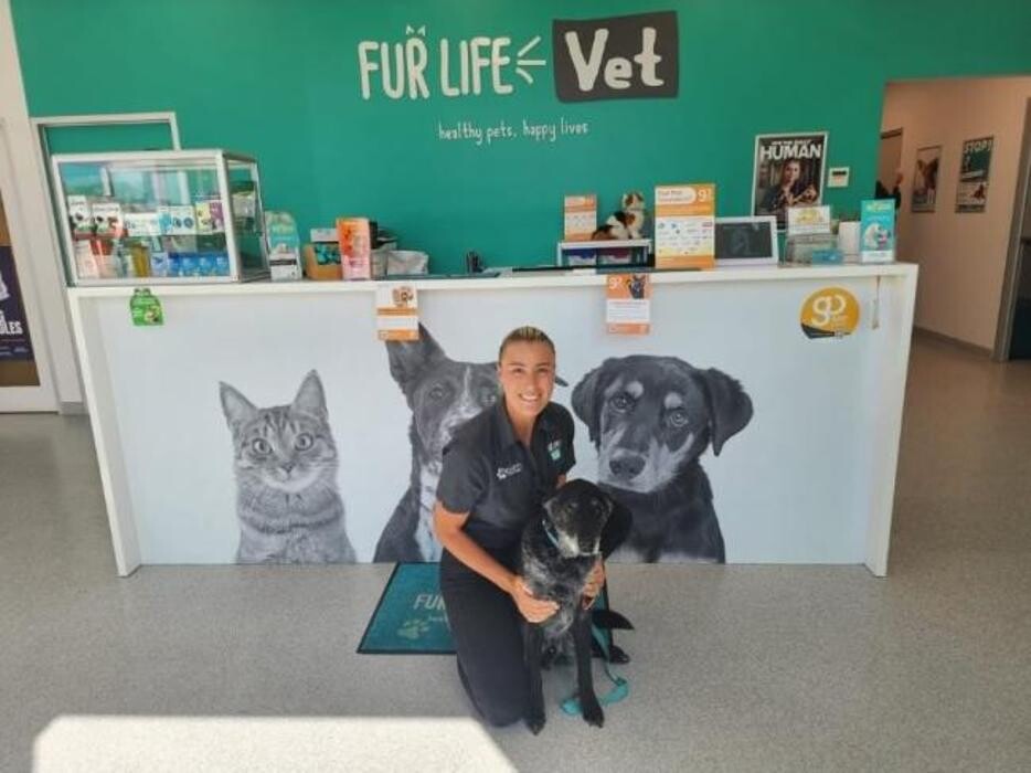 Images Fur Life Vet- Torquay