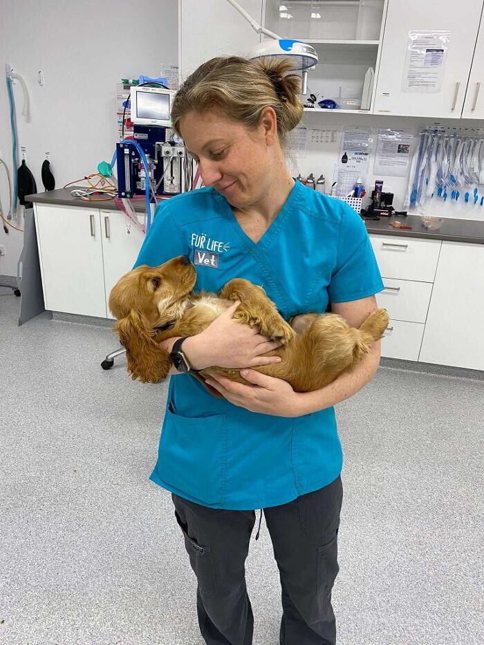 Images Fur Life Vet- Torquay