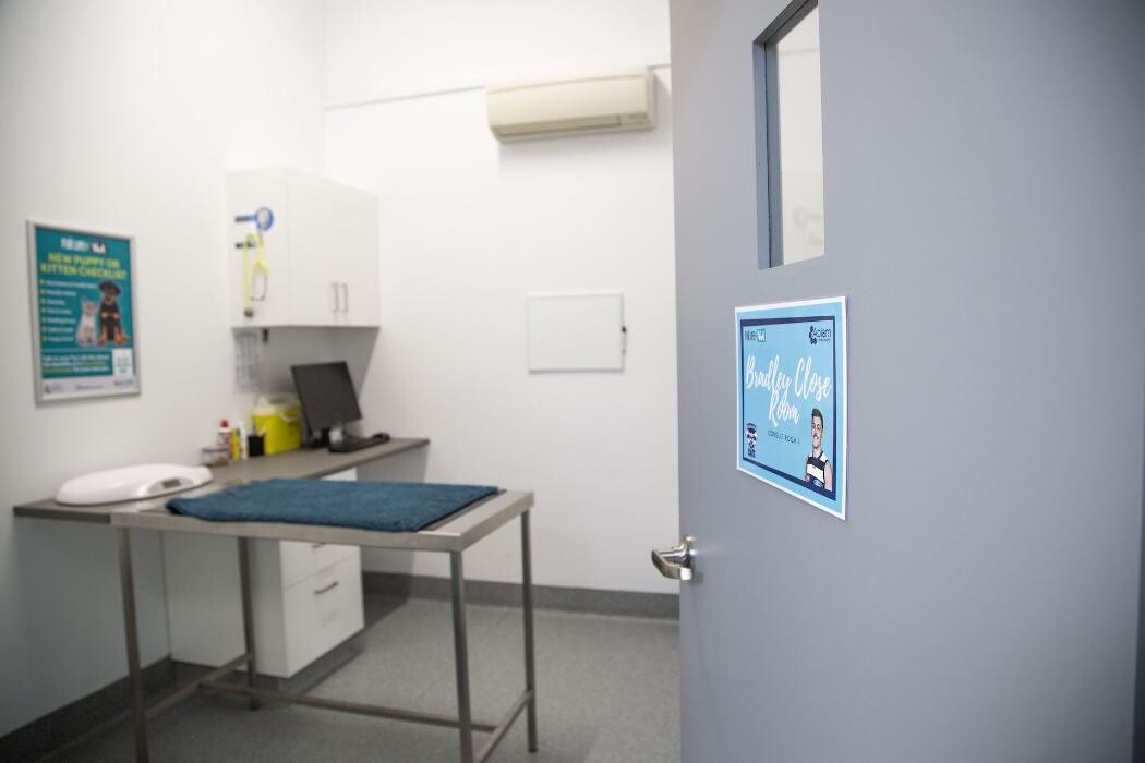 Images Fur Life Vet Highton