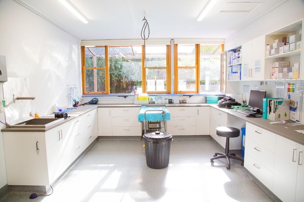 Images Fur Life Vet Highton