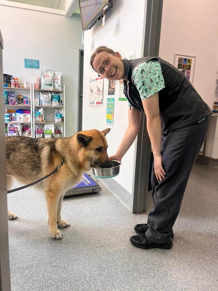 Images Fur Life Vet Highton