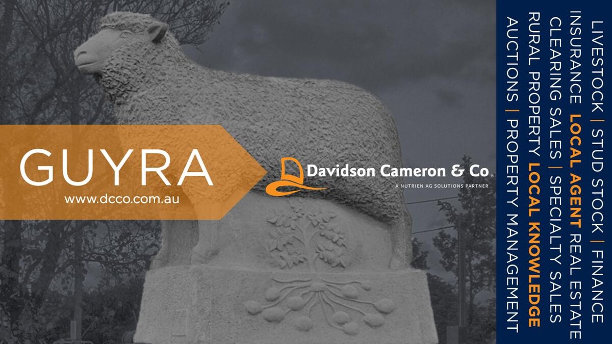 Images Davidson Cameron & Co - Guyra