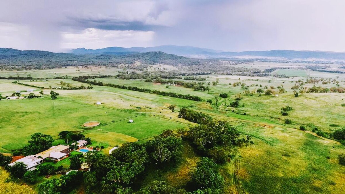 Images Davidson Cameron & Co Scone - Stephen Johnston