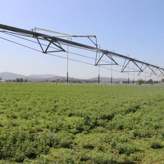 Images Davidson Cameron & Co Scone - Stephen Johnston