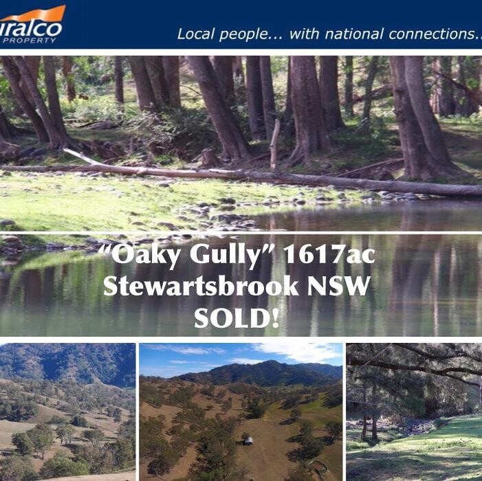 Images Davidson Cameron & Co Scone - Stephen Johnston