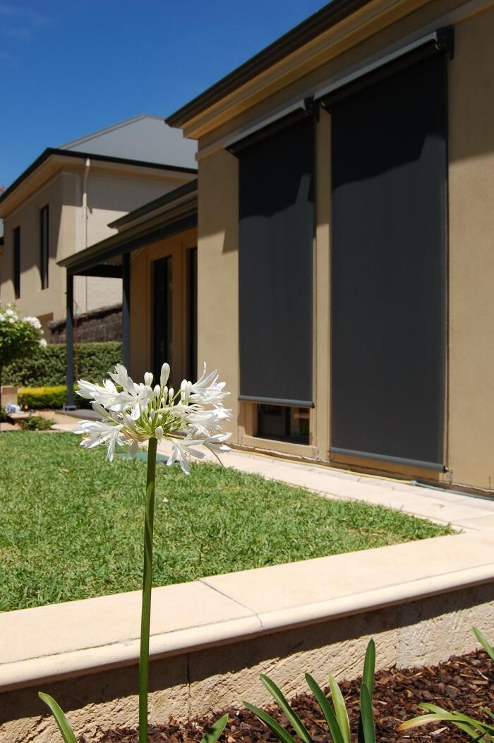 Images Davidson's Blinds & Shutters (Ballarat)
