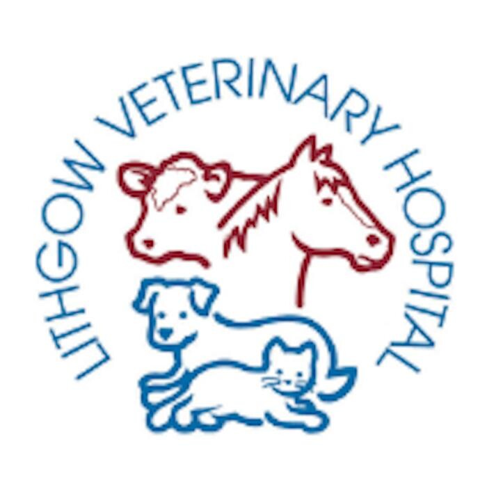 Lithgow Veterinary Hospital Logo