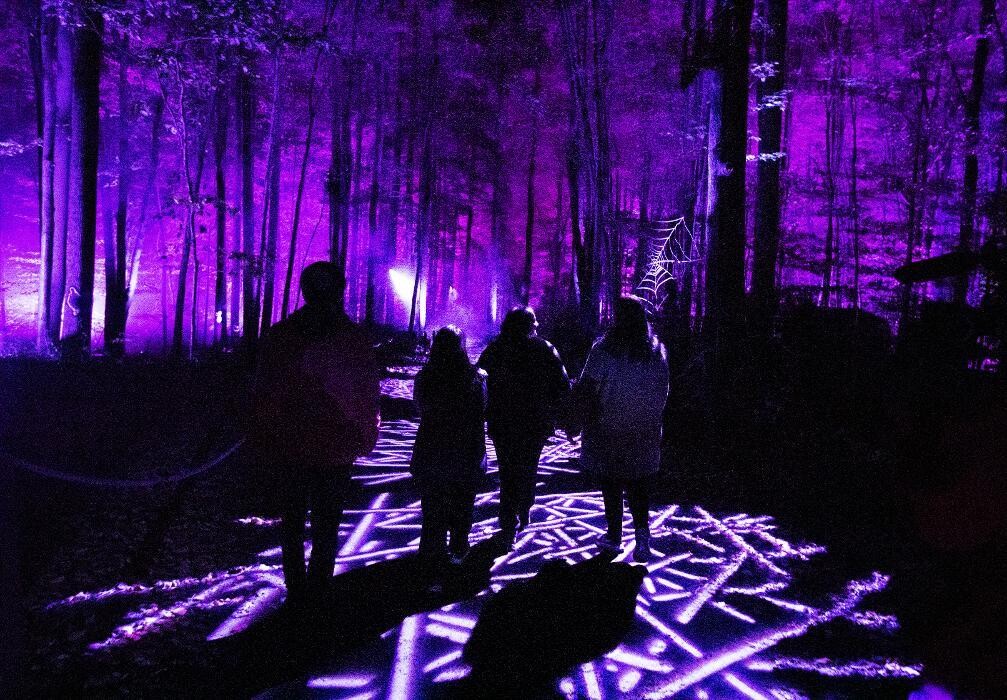 Images Harry Potter: A Forbidden Forest Experience - Brisbane